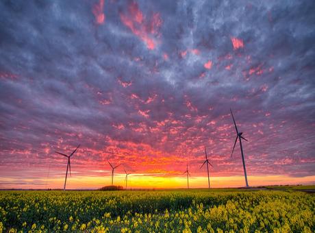 Harnessing Nature © Tommy Clark available on Flickr Harnessing Nature © Tommy Clark available on Flickr
